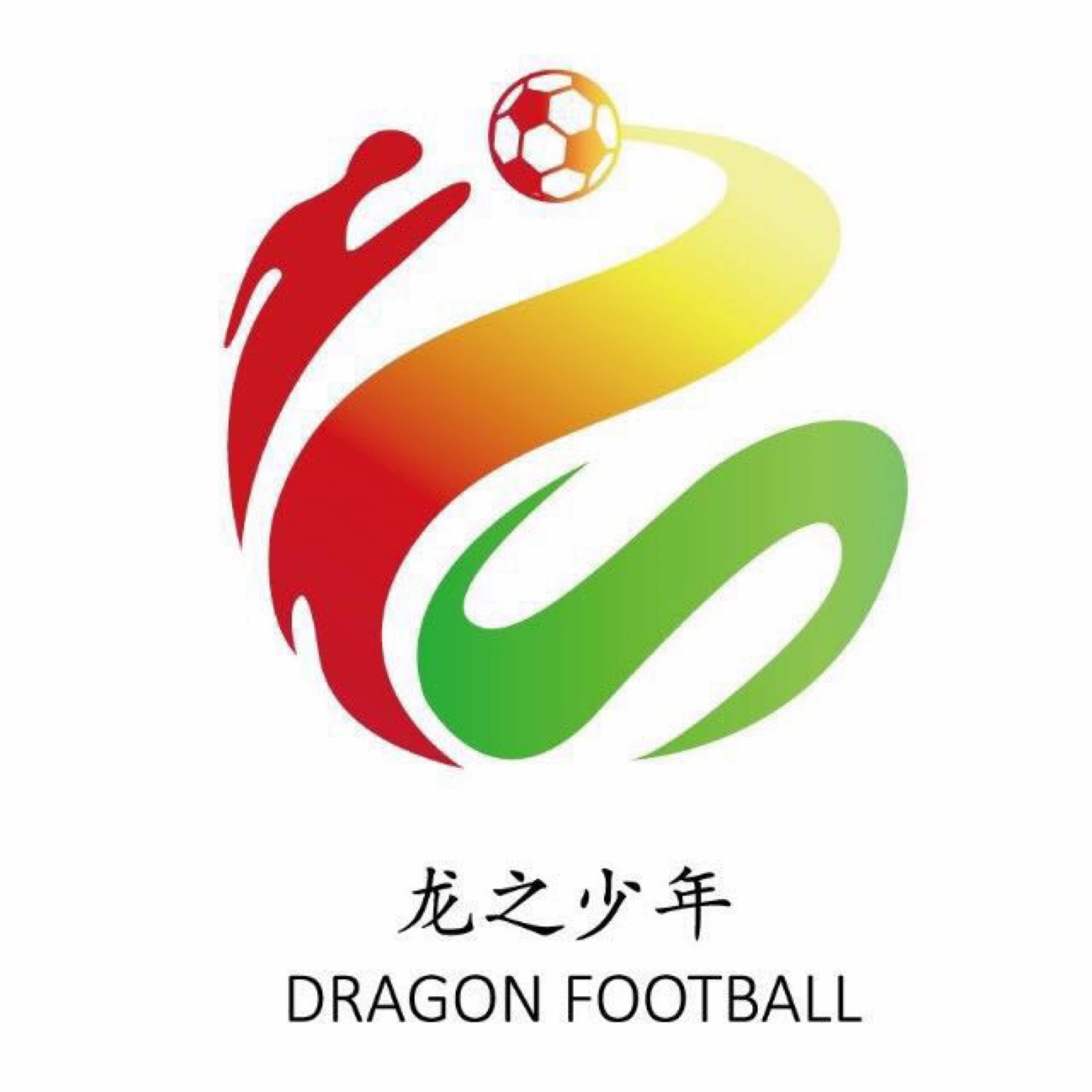 龙之少年足球发展（北京）有限公司